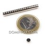Neodium Cylindrical magnets (20) Dia 4X2 - attraction 450g